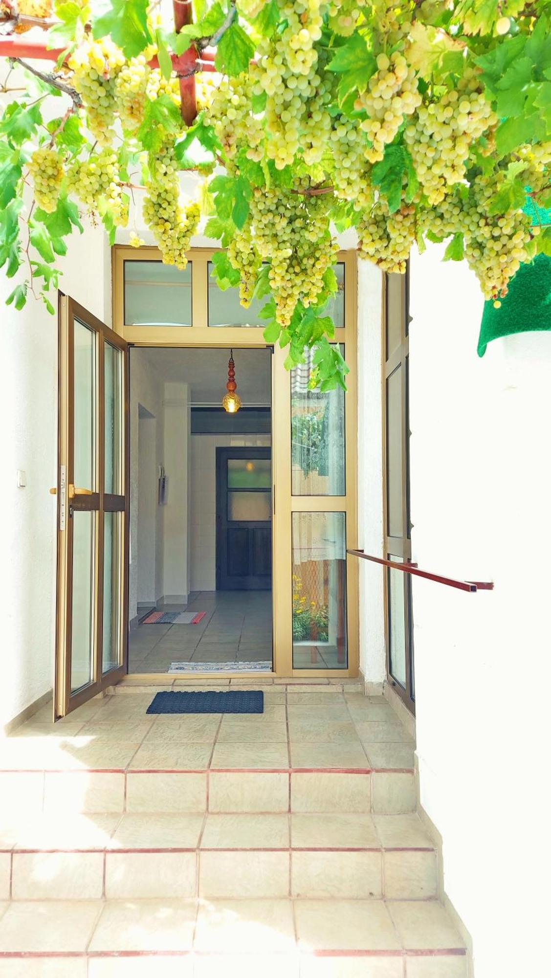 Holiday House With Seaview Сен Екстериор снимка